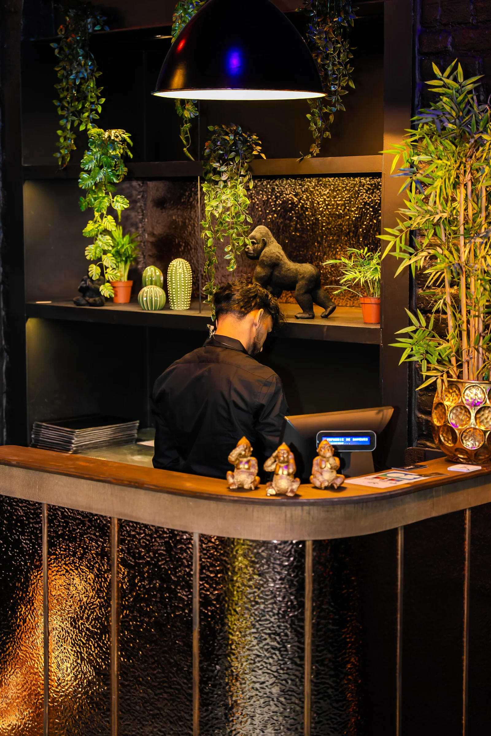 Le bar et son comptoir doré